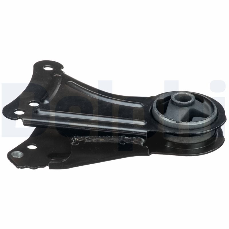 DELPHI TEM119 Mounting, engine