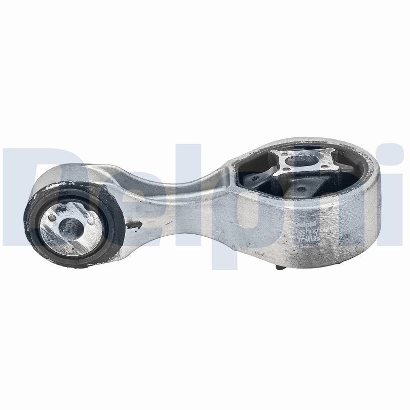 DELPHI TEM129 Mounting, engine