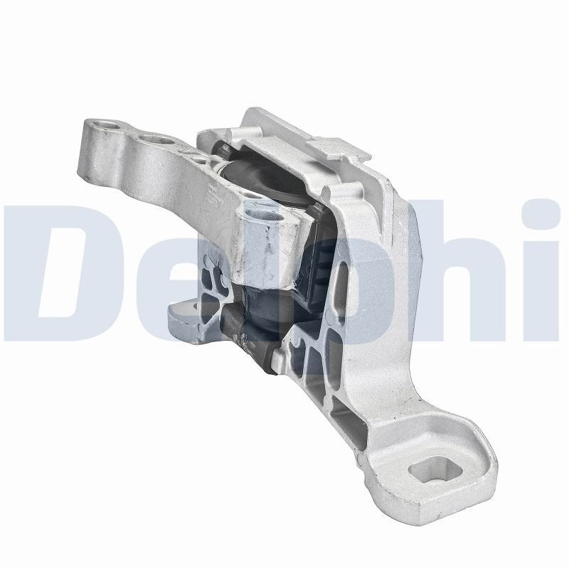 DELPHI TEM137 Mounting, engine