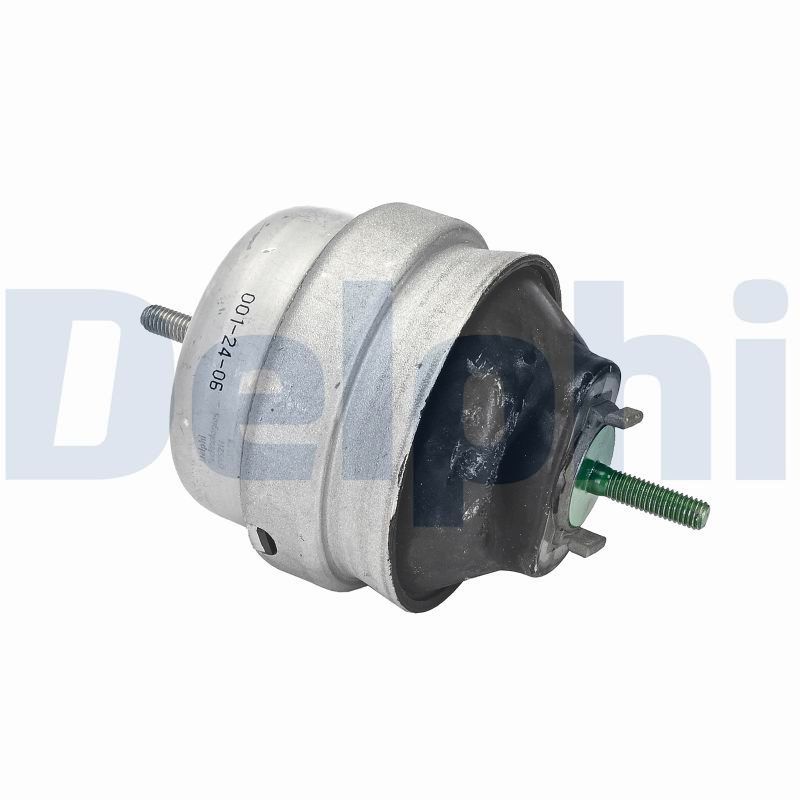 DELPHI TEM143 Mounting, engine