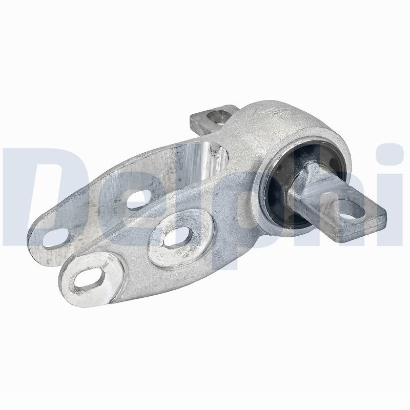 DELPHI TEM159 Mounting, engine