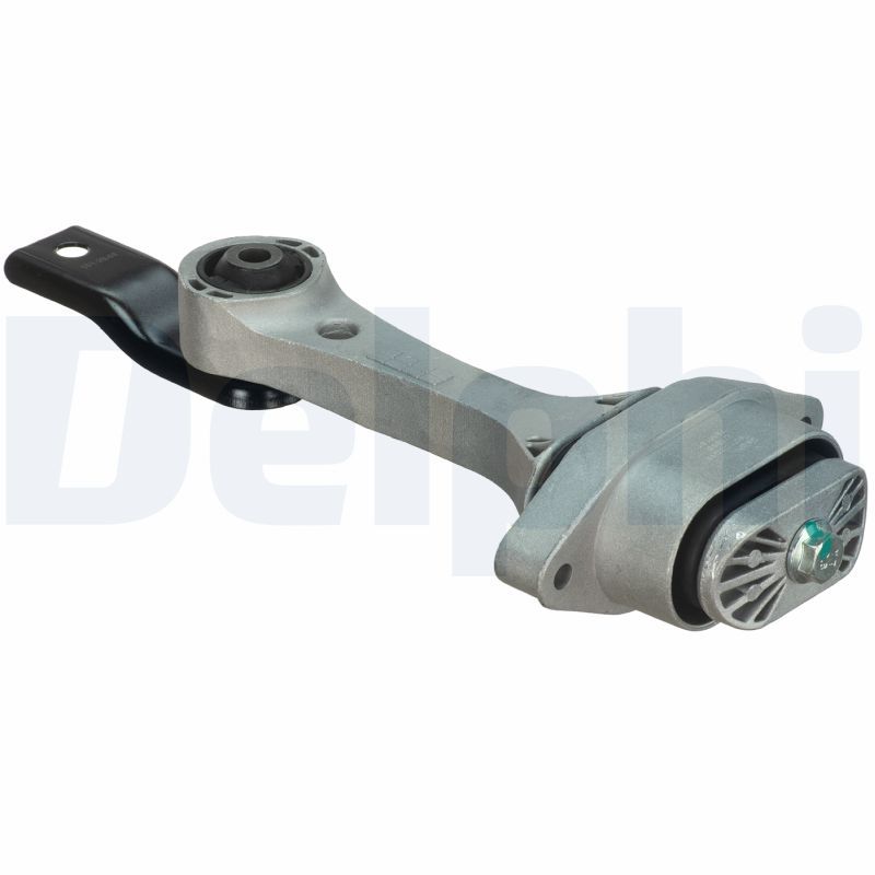 DELPHI TEM181 Mounting, engine