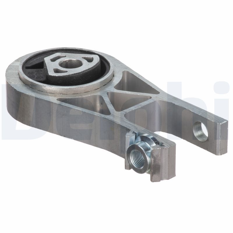 DELPHI TEM191 Mounting, engine