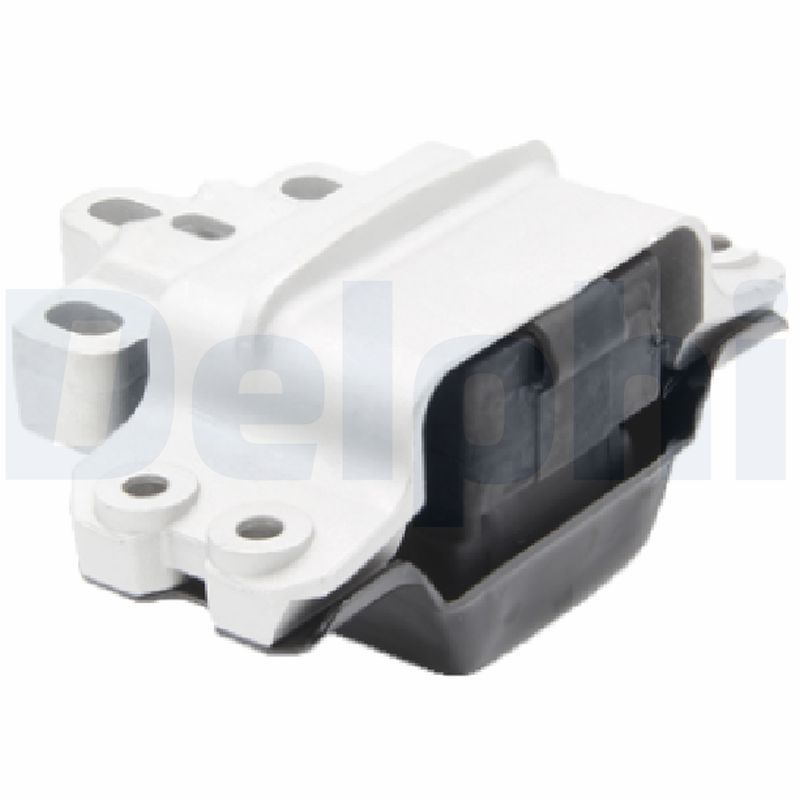 DELPHI TEM196 Mounting, engine
