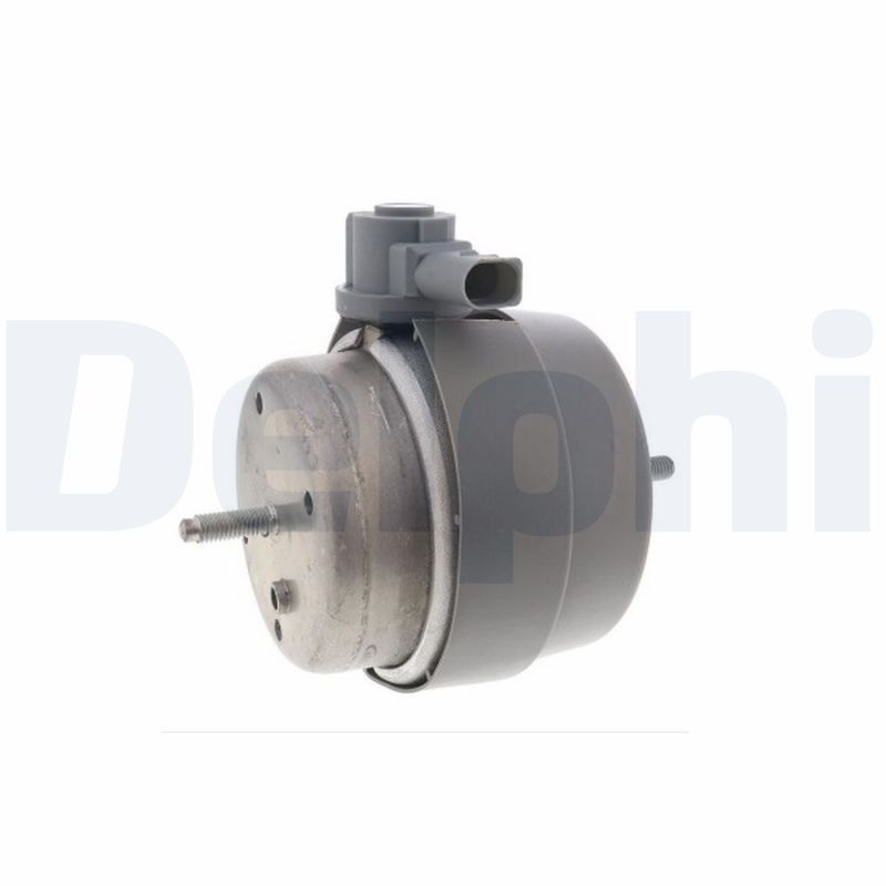 DELPHI TEM238 Mounting, engine