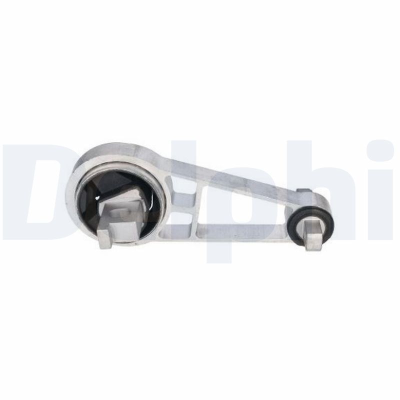 DELPHI TEM254 Mounting, engine