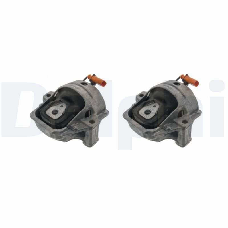 DELPHI TEM269 Mounting, engine