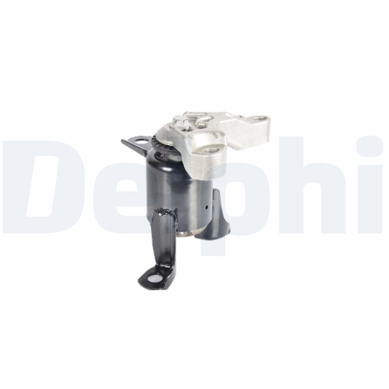 DELPHI TEM270 Mounting, engine
