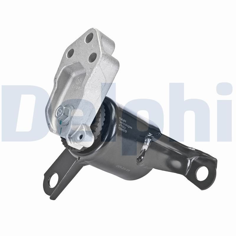 DELPHI TEM278 Mounting, engine