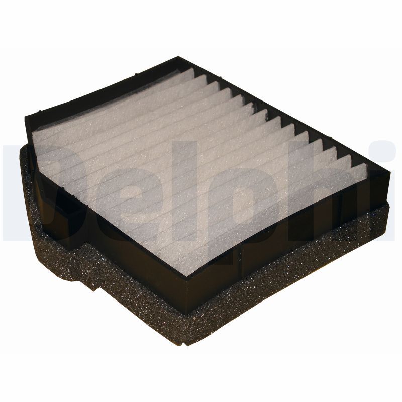 DELPHI TSP0325251 Filter, cabin air