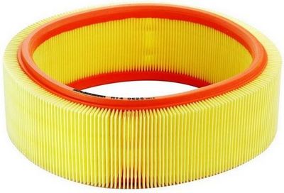 Air Filter DENCKERMANN A140625