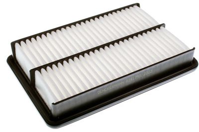 Air Filter DENCKERMANN A141795