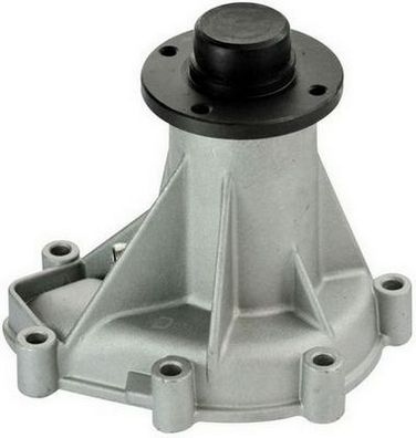 DENCKERMANN A310216P Water Pump, engine cooling