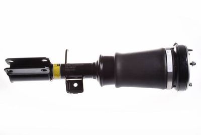 Air Suspension Strut DENCKERMANN DSA009G