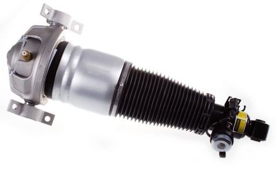Air Suspension Strut DENCKERMANN DSA017G