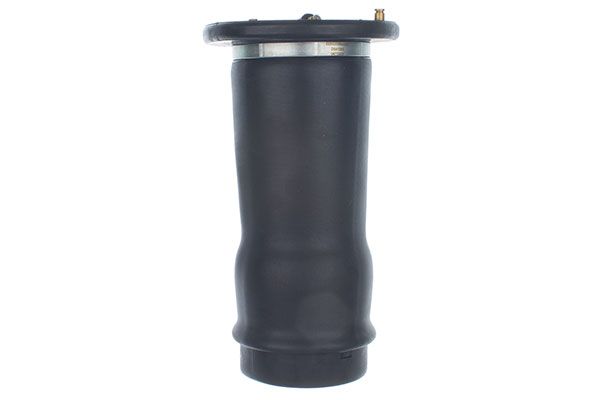DENCKERMANN DSA122G Air Spring, suspension