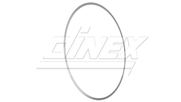 DINEX 5AL006 Seal Ring, exhaust pipe