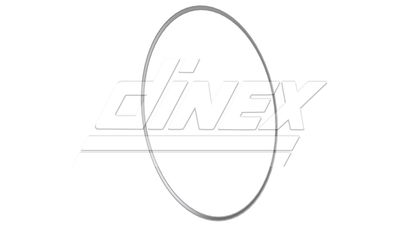 Seal Ring, exhaust pipe DINEX 5AL006