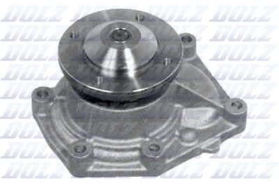 Water Pump, engine cooling DOLZ E113