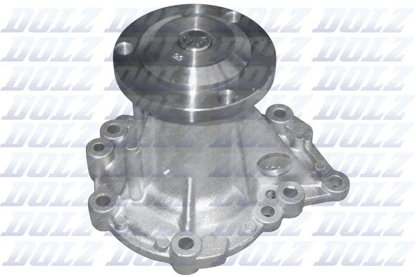 DOLZ R210 Water Pump, engine cooling