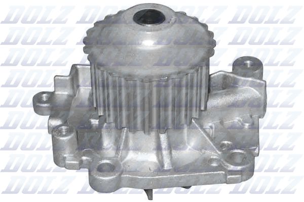 DOLZ R301 Water Pump, engine cooling