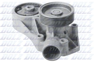 Water Pump, engine cooling DOLZ S194