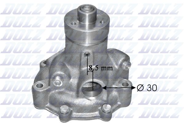 DOLZ S240 Water Pump, engine cooling