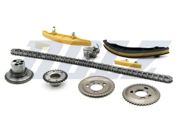 DOLZ SKCF219 Timing Chain Kit