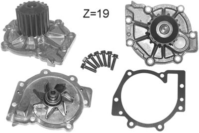 Water Pump, engine cooling DOLZ V211