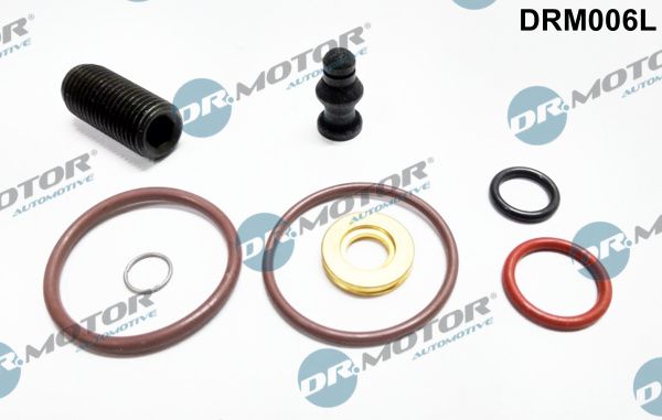 Dr.Motor Automotive DRM006L Repair Kit, unit injector