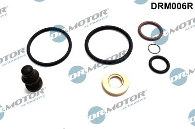 Repair Kit, unit injector Dr.Motor Automotive DRM006R