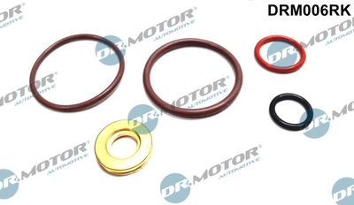 Repair Kit, unit injector Dr.Motor Automotive DRM006RK