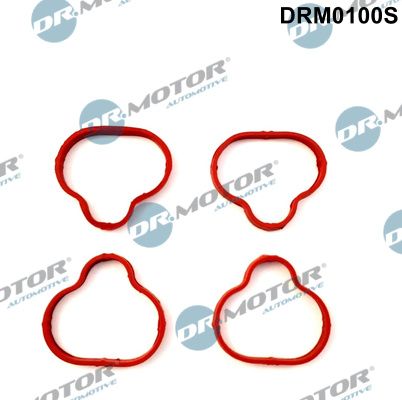 Dr.Motor Automotive DRM0100S Gasket Set, intake manifold