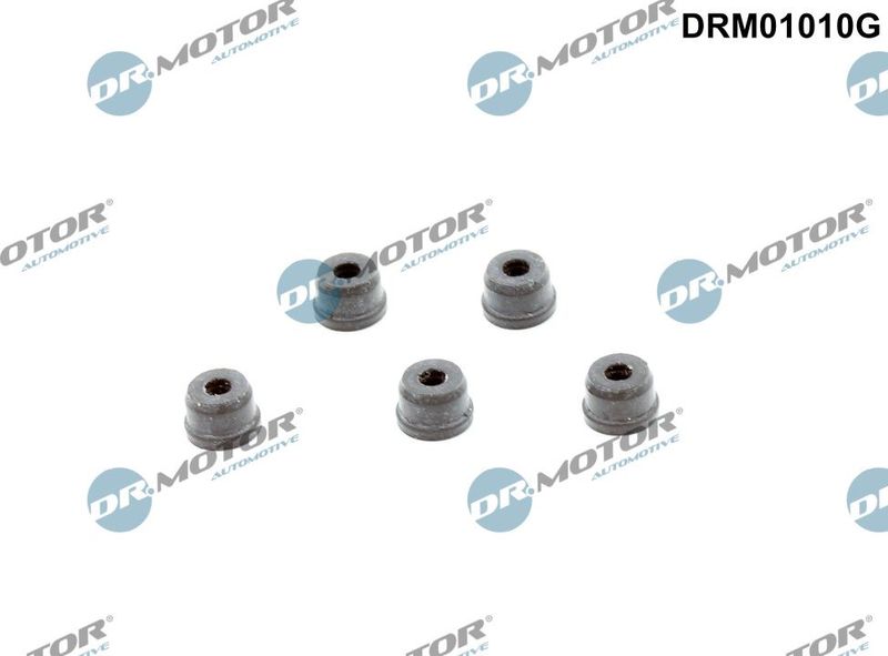 Dr.Motor Automotive DRM01010G Repair Kit, clutch master cylinder