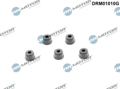 Repair Kit, clutch master cylinder Dr.Motor Automotive DRM01010G