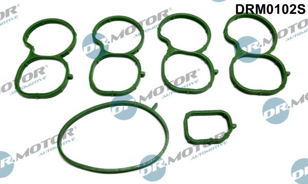 Dr.Motor Automotive DRM0102S Gasket Set, intake manifold