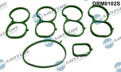 Gasket Set, intake manifold Dr.Motor Automotive DRM0102S