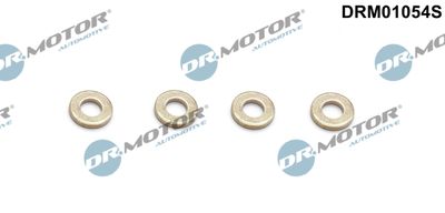 Seal Kit, injector nozzle Dr.Motor Automotive DRM01054S