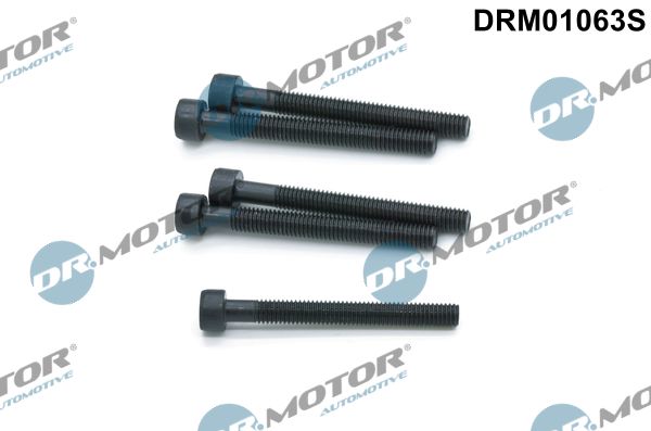 Dr.Motor Automotive DRM01063S Screw, injection nozzle holder