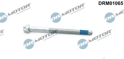 Screw, injection nozzle holder Dr.Motor Automotive DRM01065