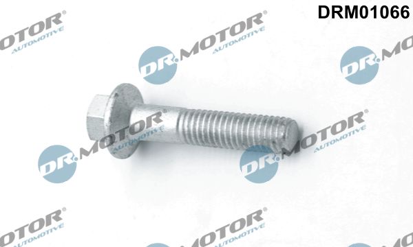 Dr.Motor Automotive DRM01066 Screw, injection nozzle holder