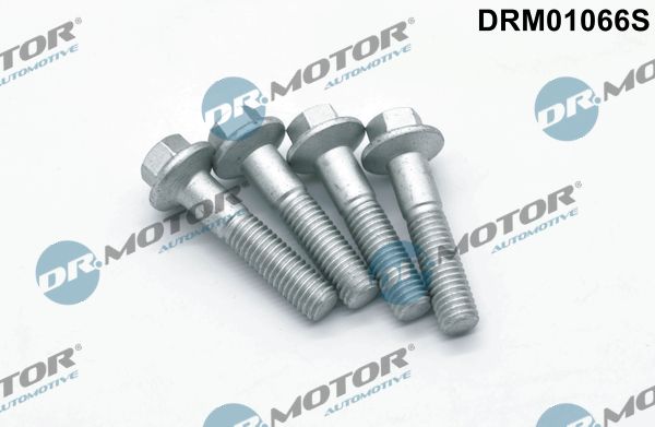 Dr.Motor Automotive DRM01066S Screw, injection nozzle holder