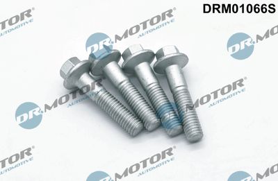 Screw, injection nozzle holder Dr.Motor Automotive DRM01066S