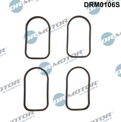 Gasket Set, intake manifold Dr.Motor Automotive DRM0106S