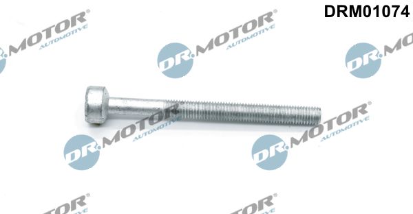 Dr.Motor Automotive DRM01074 Screw, injection nozzle holder