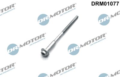 Screw, injection nozzle holder Dr.Motor Automotive DRM01077