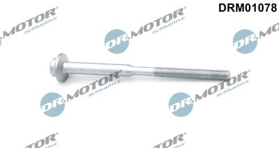 Screw, injection nozzle holder Dr.Motor Automotive DRM01078