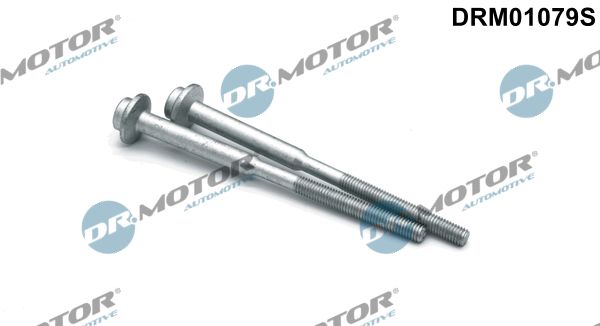 Dr.Motor Automotive DRM01079S Screw, injection nozzle holder