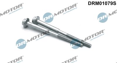 Screw, injection nozzle holder Dr.Motor Automotive DRM01079S