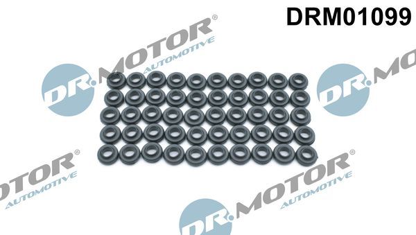 Dr.Motor Automotive DRM01099 Seal Ring, cylinder head cover bolt